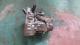 CAJAS DE CAMBIO JH3132#116 - RENAULT MODUS 1.5 DCI