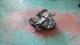 CAJAS DE CAMBIO JB3980#221 - RENAULT CLIO II FASE II  AUTHENTIQUE CONFORT 1.5 DCI 65CV