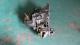 CAJAS DE CAMBIO 20DL22#553 - CAJA CAMBIOS PEUGEOT 206 BERLINA XT 1.9 DIESEL (69 CV)