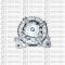 ALTERNADORES WEB 210007A - ALTERNADOR 120A AUDI / SEAT / SKODA / VOLKSWAGEN