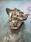CAJAS DE CAMBIO 20TD93#56 - CAJA PEUGEOT 306 (7_, N_) 1.9 D (1995-2001)
