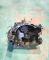 CAJAS DE CAMBIO 20DM47#149 - CAJA CITROEN BERLINGO I 1.9 D (1999-2011)