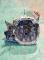 CAJAS DE CAMBIO JR5124#332 - CAJA RENAULT CLIO III 1.5 DCI (K9K)