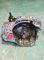 CAJAS DE CAMBIO JH3303#376 - CAJA NISSAN MICRA IV (K13) 1.2 (2010-2015)