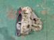 CAJAS DE CAMBIO TL4116#388 - CAJA NISSAN QASHQAI (J10) 2.0 16V