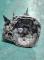 CAJAS DE CAMBIO JR5124#610 - CAJA RENAULT CLIO III 1.5 DCI (K9K)