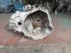 CAJAS DE CAMBIO A6382601800#726 - MERCEDES VITO (W638) 112 2.2 CDI (1999-2003)