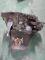 CAJAS DE CAMBIO 20TD95#915 - CAJA PEUGEOT 306 2.0 HDI (1995-2002)