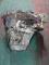CAJAS DE CAMBIO 20DM75#924 - CAJA PEUGEOT 308 1.6 HDI (2004-2011)