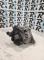 ALTERNADORES SEGUNDA MANO 2655103#81 - ALTERNADOR (12V 90A) HYUNDAI GETZ TB 1.5 CRDI (2005-2009)