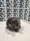 ALTERNADORES SEGUNDA MANO 9654752880#97 - ALTERNADOR (12V 120A) PEUGEOT 307 3E 2.0 HDI (2004-2008)