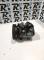COMPRESORES SEGUNDA MANO 5062211522#15 - COMPRESOR MERCEDES SPRINTER 2-T VAN 2.0 TD (1998-2005)
