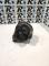 ALTERNADORES SEGUNDA MANO 61E15#104 - ALTERNADOR (14V 150A) BMW SERIE 3 E46 320D (1998-2001)