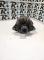 ALTERNADORES SEGUNDA MANO 504009978#128 - ALTERNADOR (14V 140A) IVECO DAILY IV 35C12 (2006-2011)