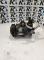 COMPRESORES SEGUNDA MANO F500FG8CA05#73 - COMPRESOR HYUNDAI I30 (FD) 1.6 CRDI (2007-2011)