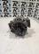 ALTERNADORES SEGUNDA MANO 0124425077#177 - ALTERNADOR (14V 120A) MERCEDES VITO W639 116 CDI (2010-2023)