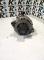 CAJAS DE CAMBIO 23100DB000#210 - ALTERNADOR (12V 135A) RENAULT MASTER II ED/HD/UD (1998-2010)