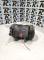 COMPRESORES SEGUNDA MANO 5060120841#107 - COMPRESOR NISSAN CABSTAR (F24M) 3.0 DCI  (2006-2013)