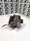 ALTERNADORES SEGUNDA MANO 0124425009#307 - ALTERNADOR (14V 120A) OPEL VECTRA C Z02 1.8 16V (2002-2008)