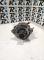 ALTERNADORES SEGUNDA MANO 8980568670#327 - ALTERNADOR (12V 100A) OPEL ASTRA G T98 DIESEL (2000-2009)