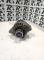 ALTERNADORES SEGUNDA MANO 12759595#344 - ALTERNADOR (14V 130A) OPEL VECTRA C / ZAFIRA B 1.9 CDTI