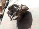 CAJAS DE CAMBIO 55192042 - CAJA DE CAMBIOS ALFA ROMEO 159/FIAT CROMA 1.9JTD 6V